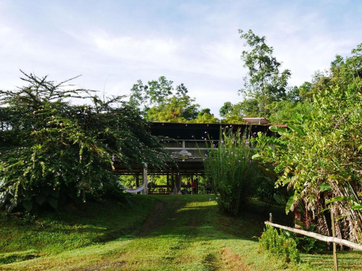 Albergue La Laguna Puerto Jiménez Esterno foto