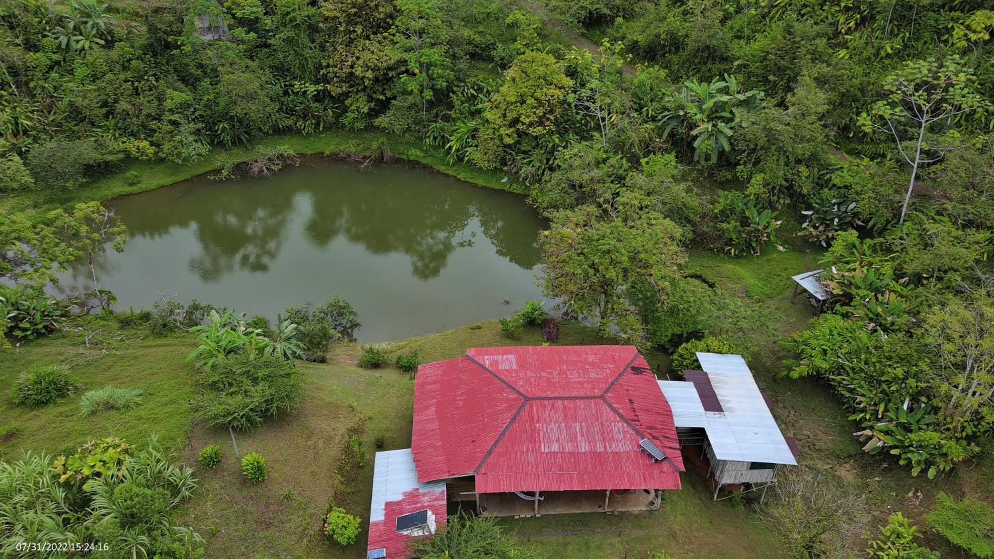 Albergue La Laguna Puerto Jiménez Esterno foto