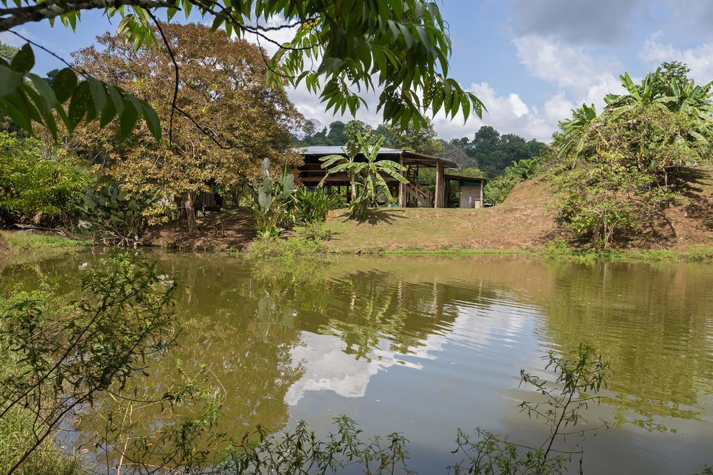 Albergue La Laguna Puerto Jiménez Esterno foto