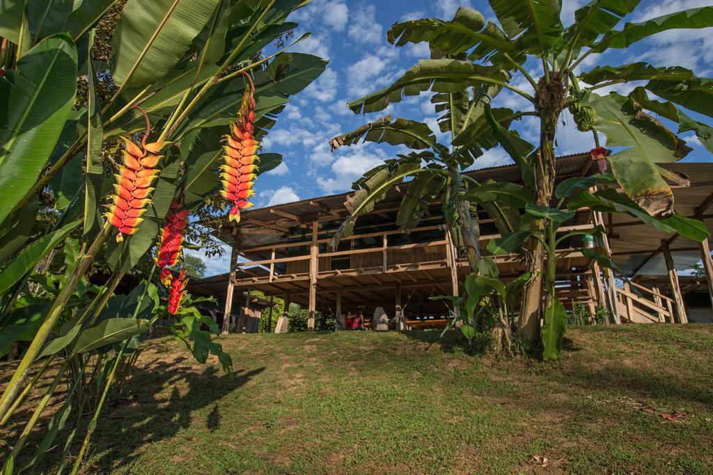 Albergue La Laguna Puerto Jiménez Esterno foto